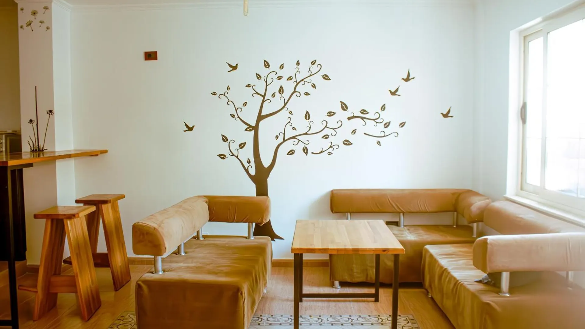 Hostel Albania location